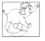 ELEFANT_BENJAMIN 3